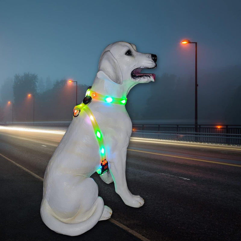 Light Up Dog Harness for Medium Dogs Lighted Dog Harness Rechargeable Waterproof Illuminated Glow in The Dark Light up Dog Vest LED - PawsPlanet Australia