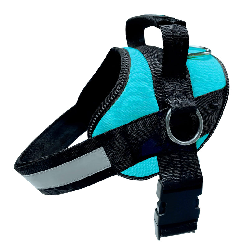 Joyride Basic Essential Dog Harness 1.0 - Small, Medium, Large Dogs, No-Pull Pet Vest with 3 Side Rings for Leash Placement, Adjustable for Training (Teal, L) Teal - PawsPlanet Australia