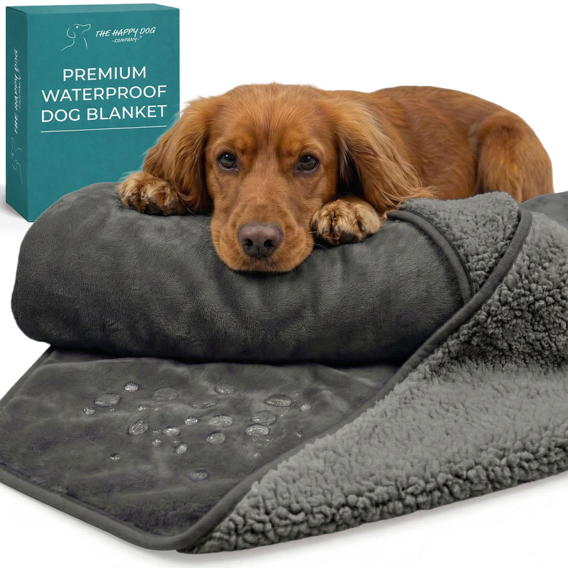 Waterproof Dog Blanket Washable – Dog Waterproof Blanket for Couch, Reversible Sherpa & Microfiber, Thick 460 GSM Dog Blanket Waterproof, 40x47 Dark Gray Flannel/Gray Sherpa Large (40" x 47") - PawsPlanet Australia