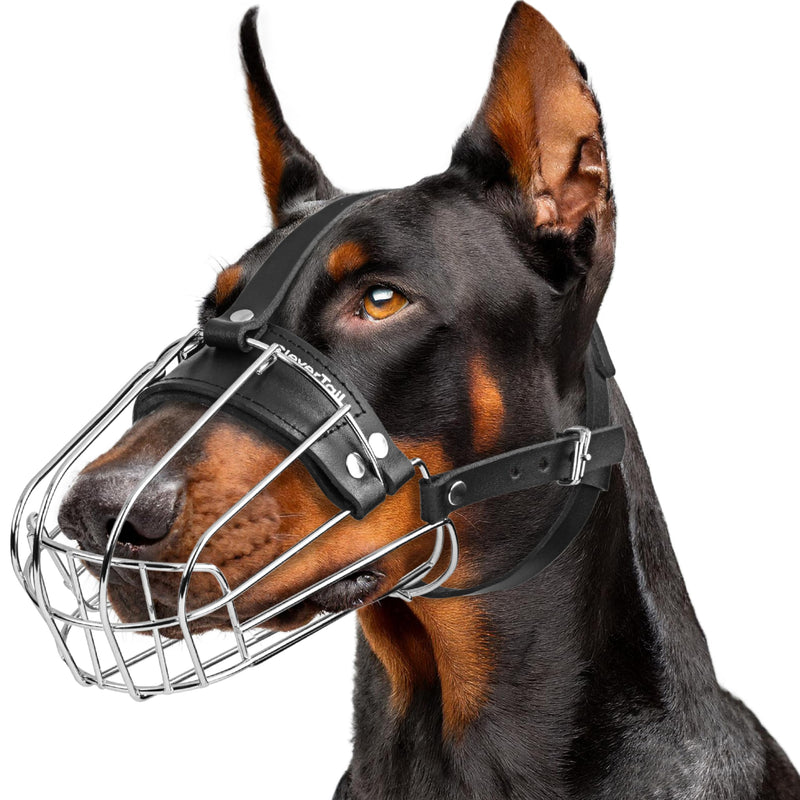 Metal Doberman Muzzle for Large Sized Dog - Cage Muzzles for Barking and Prevent Biting - Steel Wire Basket Muzzle for Medium and Large Dogs Doberman, Collie, Belgian Malinois, Husky etc. - PawsPlanet Australia