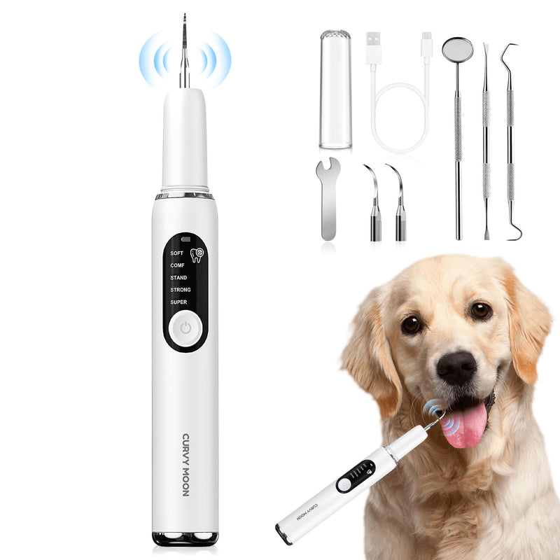 Dog Plaque and Tartar Remover Plaque Remover for Teeth with Led Light 5 Adjustable Modes Electric Toothbrush Teeth Cleaning Kit for Dog and Cat - PawsPlanet Australia