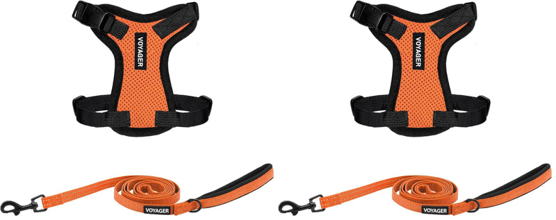 Voyager Step-in Lock Adjustable Cat Harness w. Cat Leash Combo Set with Neoprene Handle 5ft - Supports Small, Medium and Large Breed Cats by Best Pet Supplies - Orange/Black Trim, XXS (Pack of 2) - PawsPlanet Australia