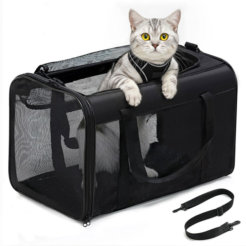 Cat Carrier Bag,Soft-Sided Pet Carriers for Dogs with 4-Sided Mesh,Airline Approved Cat Transport Carrier for Small&Medium Cats Kitten Puppy Up to 15Lb,Collapsible Cat Travel Carrier-M,Black M Black - PawsPlanet Australia