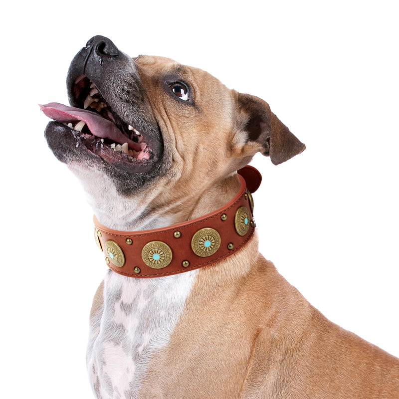 Leather Dog Collars for Small Dogs - Heavy Duty Adjustable, Durable PU Leather Collar for Small, Medium, Large, and Extra Large Dogs - Comfortable Fit with Quick-Release Metal Buckle Brown S Small (Neck: 14.0 - 19.0") - PawsPlanet Australia