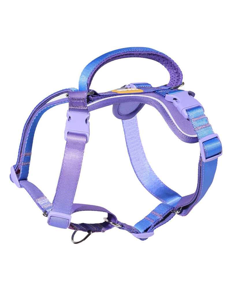 DF Freedom No Pull Martingale Dog Harness, Gentle Control for No Choking, Front Clip Harness with Reflective, Adjustable & Padded Handle for Easy Walking & Training, Rainbow, 3/4", Chest 20"-26.8" 3/4" (Chest 20" - 26.8") Rainbow Pro - PawsPlanet Australia