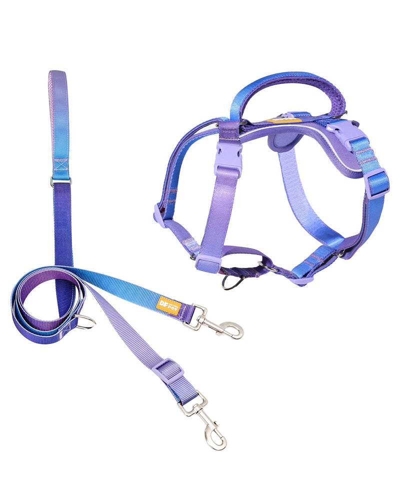 DF Freedom No Pull Martingale Dog Harness and Leash Set, Front Clip Adjustable Harness with Reflective & Padded Handle, Easy Walking & Training, Rainbow, 1", Chest 24.4" - 32.4" 1" (Chest 24.4" - 32.4") Rainbow Pro - PawsPlanet Australia