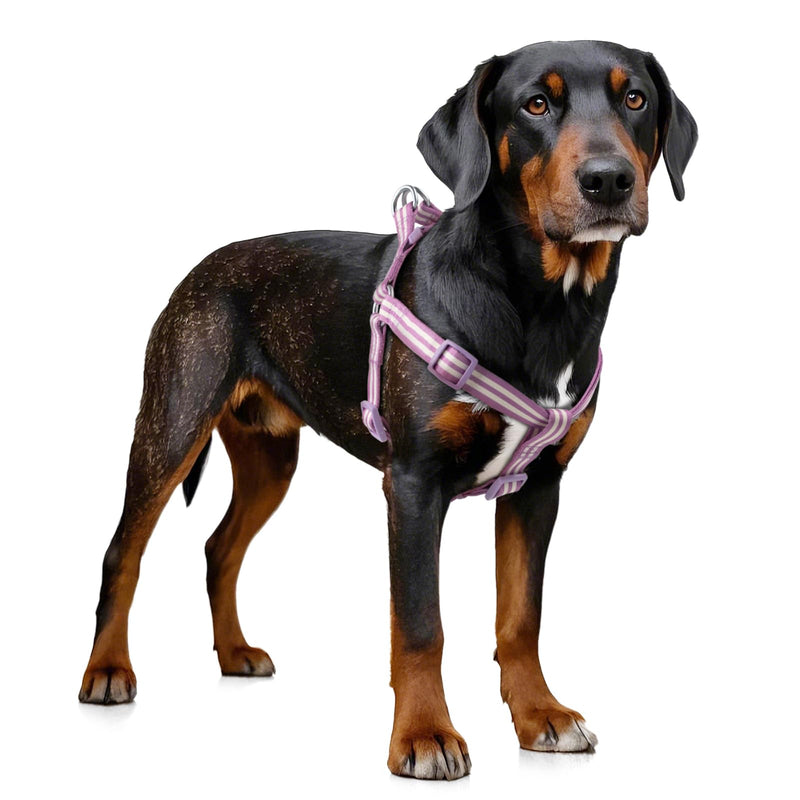 Stripe Step in Dog Harness for Small Dogs, Freedom Nylon Dog Halter Vests, Lightweight and Escape Proof Puppy Harness, Quick Fits for Small Medium and Large Dogs, Purple L - PawsPlanet Australia