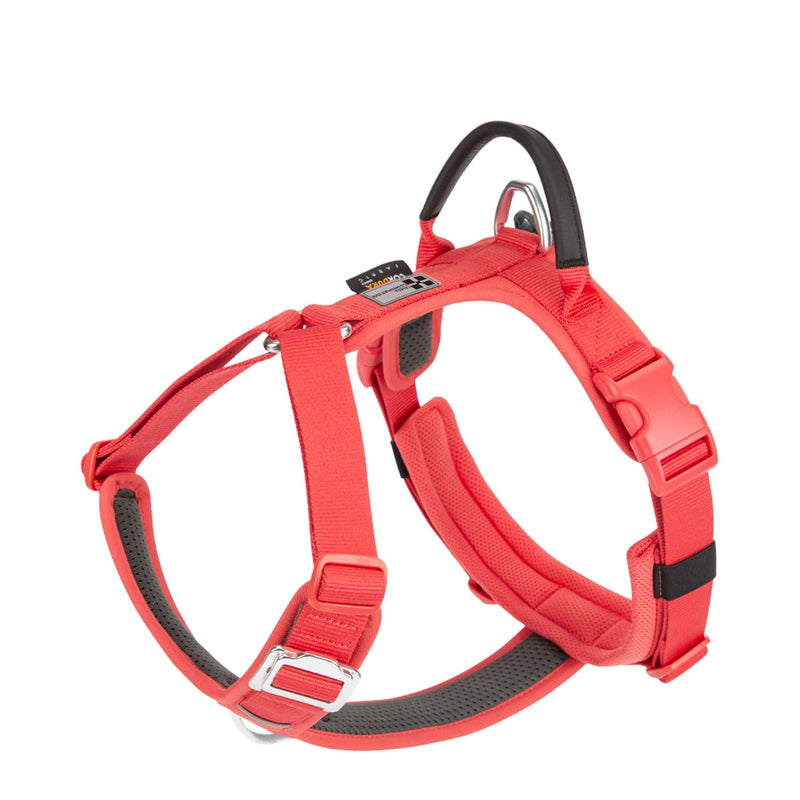 Adjustable Dog Harness with Handle, Padded Comfort,Small, Medium and Large Dogs (Watermelon Red, XS) Watermelon Red - PawsPlanet Australia