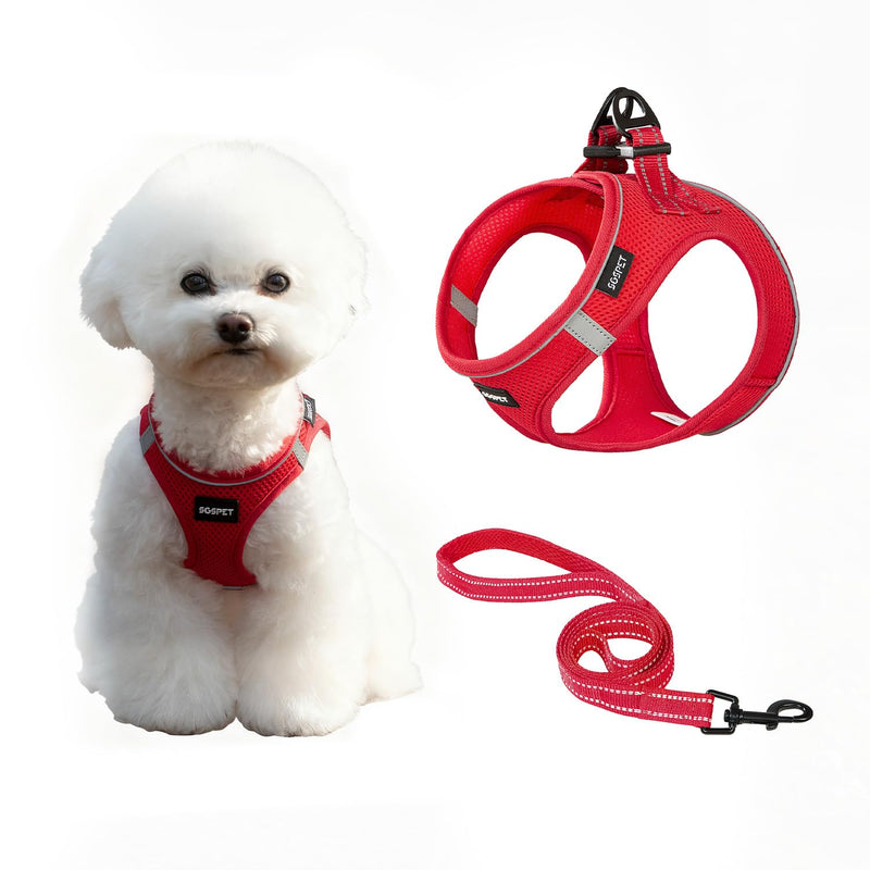Dog Harness, Dog Breathable Mesh Harness Vest Collar Soft Chest Strap Leash Set, All Weather Mesh, Adjustable Reflective Puppy Harness, No Pull Harness for Small, Medium Dogs Cats (Red, M) Red M(chest17.3-18.9) - PawsPlanet Australia