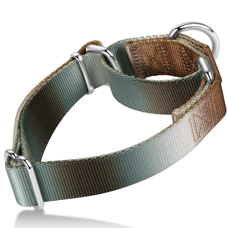 Martingale Dog Collar Colorful Gradient Fashionable - Anti-Escape Soft Durable Pets Collar for Walking Training Outdoor Daily Use -Medium, Silver Brown Medium: 14" -21" Silver to Brown Gradient - PawsPlanet Australia