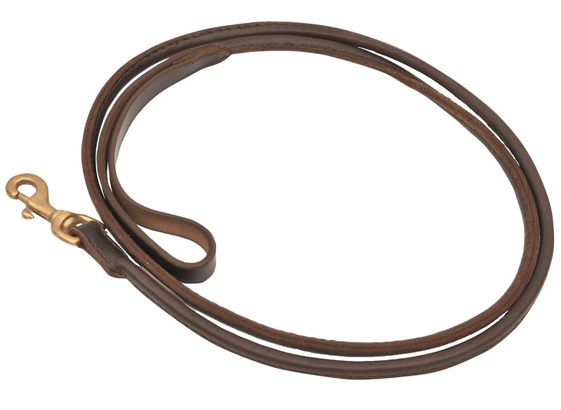 Jeffers 6FT Rolled Leather Dog Leash with Brass Hardware, Chestnut Brown Lead with Hand Strap, Durable Pet Leash for Medium & Large Dogs, Outdoor Walking & Training - 3/4" W x 6'L 3/4" x 6' - PawsPlanet Australia