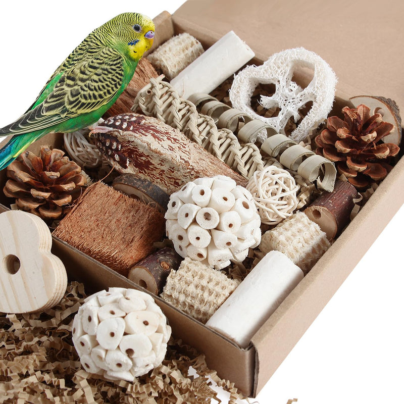 Kyouki Bird Toys Parrot Toys Natural Bird Foraging Box Foot for Parakeets,Cockatiels,Conures,Love Birds,and Other Small to Medium Birds (Medium) - PawsPlanet Australia