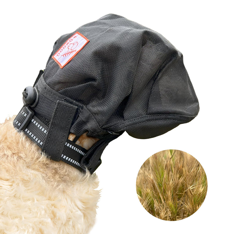 Foxtail Protection Dog mask (Extra Small) Extra Small - PawsPlanet Australia