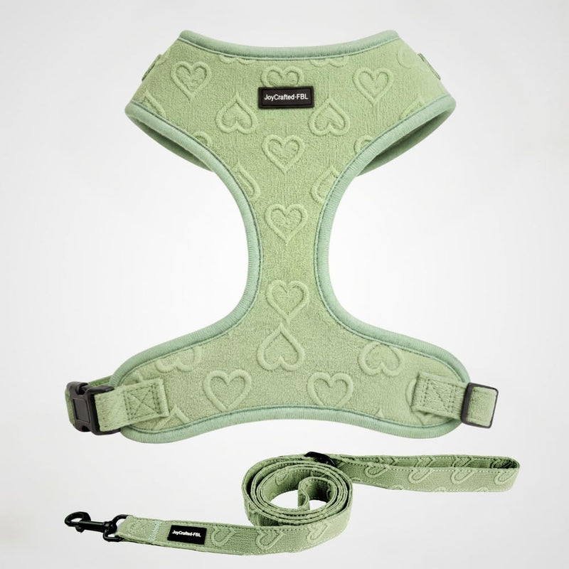 No Pull Dog Harness & Leash Set | Lightweight Breathable Neoprene, Cute Heart Pattern, Adjustable Step-In Vest,Soft Padded with Back D-Ring, XXS-L Small Dogs | Harness & Leash Set Green Harness Leash Set-Green S-Small - PawsPlanet Australia