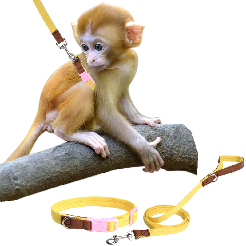 Mini Monkey Leash, Adjustable Monkey Strap with Belly Bands and Matching Leash for Marmoset Monkey, Maximum Dimension 5.7 Inches for Monkey, Comfortable and Durable - PawsPlanet Australia