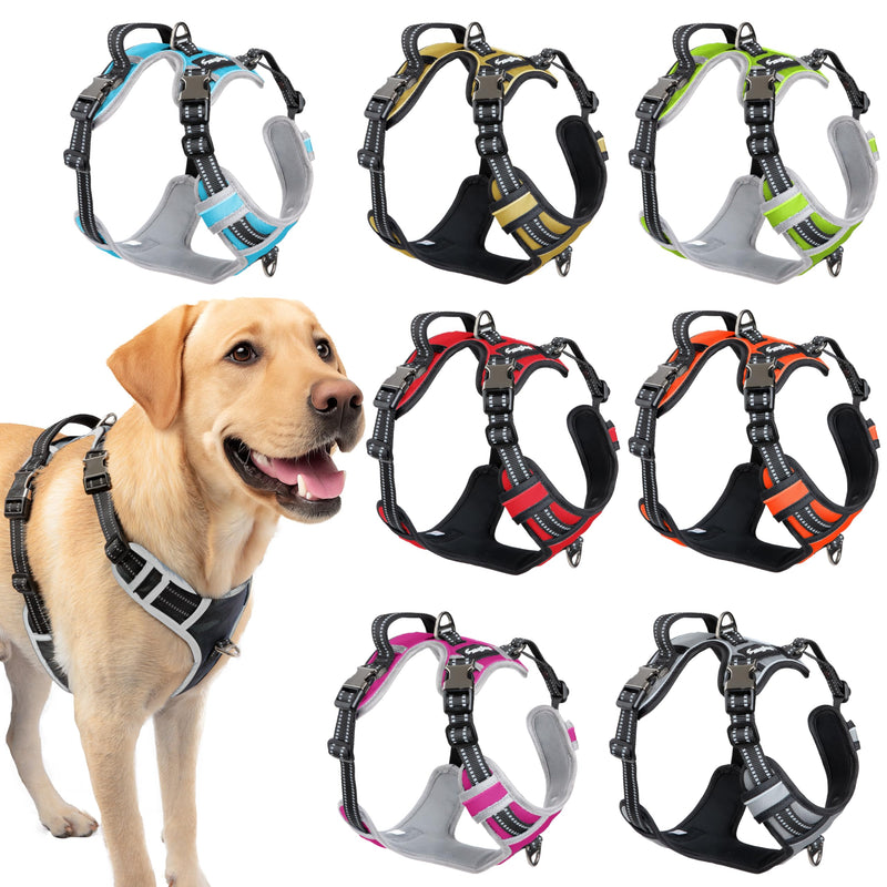 Step-in Dog Harness for Large Dogs - Adjustable, Easy On/Off No Pull Head Through Design, 2 Leash Attachment Points, 3M Reflective Trim, Neoprene Padded Control Handle, Black - PawsPlanet Australia