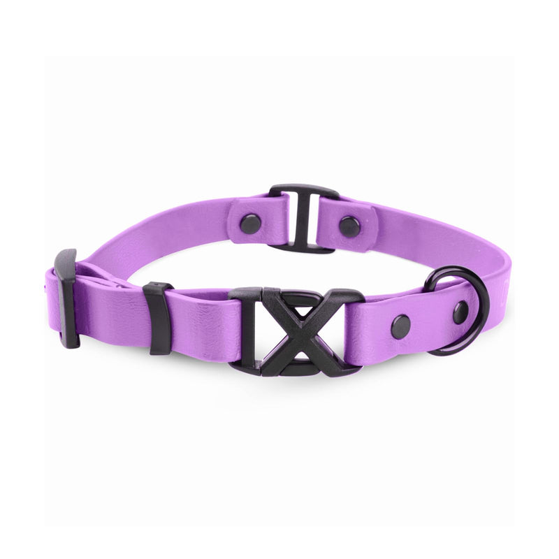 DogTraxs - Light Duty Dog Collar - Biothane Dog Collar - For Extra Large Dogs - Waterproof & Odor Resistant -Quick Release Plastic Buckle -Studded Rivets -Made in USA -1” W x 21-24” L -Amethyst Purple Amethyst Extra Large - 1" W x 21-24" L - PawsPlanet Australia