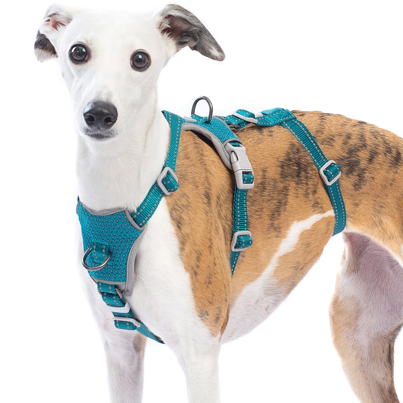 Huntboo Escape Proof Dog Harness – No Pull, No Slip, Fully Reflective, Adjustable 7-Point Design for Small, Medium, and Large Dogs – Lightweight for Outdoor Training & Hiking (Teal, M) Medium (Pack of 1) Teal - PawsPlanet Australia