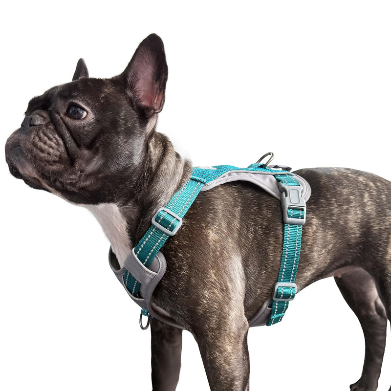 Huntboo No-Pull Dog Harness, Fully Reflective Vest with 2 Leash Clips, No-Choke, Adjustable, Breathable & Durable for Small, Medium & Large Dogs Walking, Training, Running (Teal Blue, S) Small (Pack of 1) Teal Blue - PawsPlanet Australia
