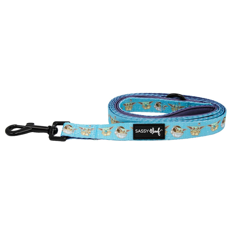 Sassy Woof Star Wars™ The Mandalorian™ Dog Leash 60-Inch with Neoprene Padded Handle - Comfortable, Durable, and Stylish for Small to Large Dogs - PawsPlanet Australia