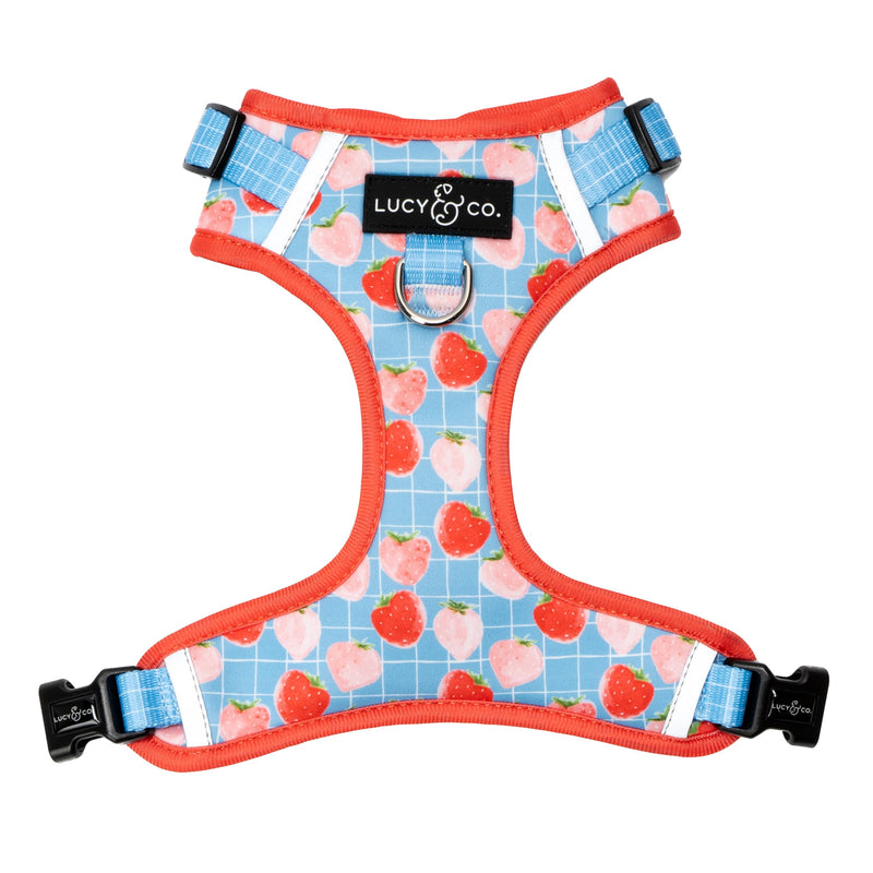 Lucy & Co. The Fresh Berries No-Pull Dog Harness - Size Small- Vest to Stop Pulling & Walk Easy - Comfortable Leash Training Product w/Adjustable Chest & Neck Straps The Fresh Berries No-Pull Harness - PawsPlanet Australia