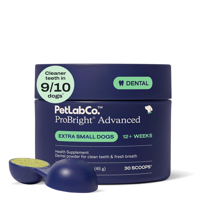 PetLab Co. ProBright Advanced Dental Powder - Dog Breath Freshener - Teeth Cleaning Made Easy – Targets Tartar & Bad Breath - Packaging May Vary - Formulated for Extra Small Dogs - PawsPlanet Australia