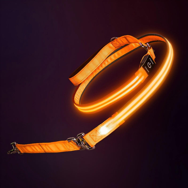 PetIsay Night Walking LED Dog Leash - 6FT Reflective & Waterproof Light Up Safety Leashes for Dogs - USB Rechargeable, Orange 6 feet Orange(Fiber optic version) - PawsPlanet Australia