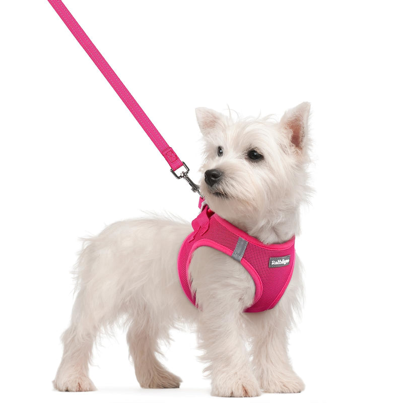 rabbitgoo Dog Harness Small Sized and Leash Set, Step in Soft Light Puppy Vest, Breathable Mesh Pet Harness, Reflective for Safe Easy Walking, Rose Red S S (Chest: 15.1 - 16.5") - PawsPlanet Australia