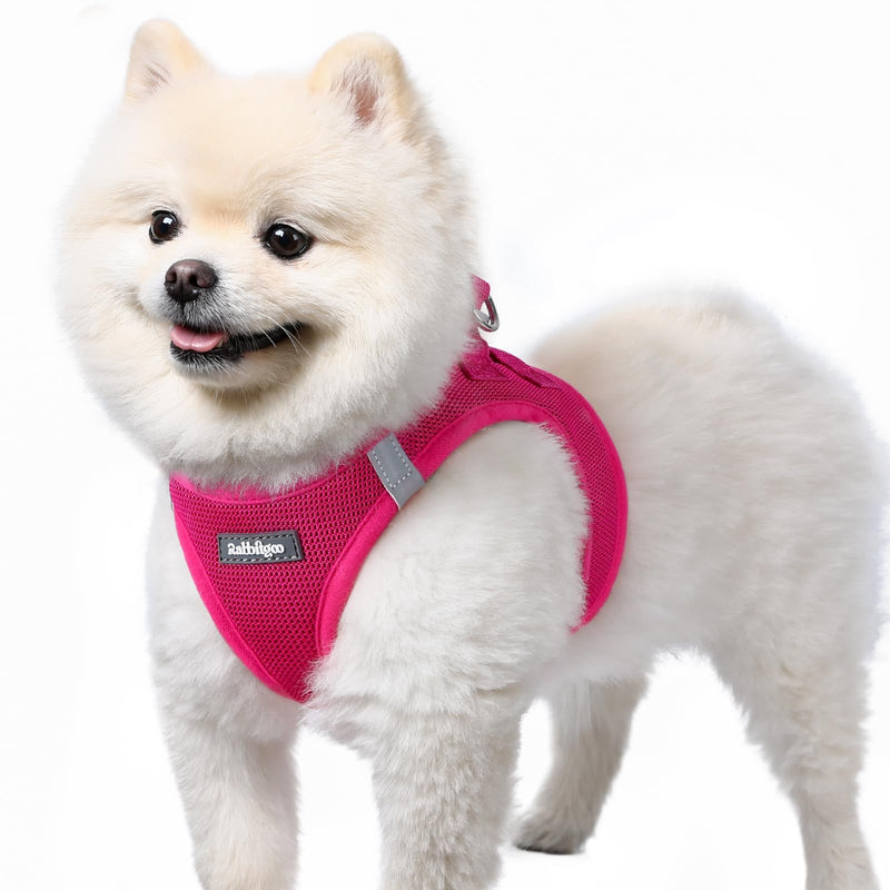 rabbitgoo Small Dog Harness, Step-in Soft Mesh Puppy Vest with Safety Buckle, Breathable Reflective Pet Harness for Small Sized Dogs, Rose Red S S(Chest:15.1"-16.5") - PawsPlanet Australia