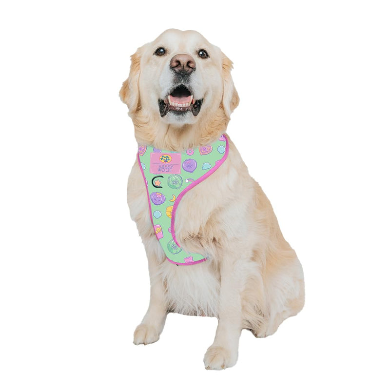 Sassy Woof Dog Adjustable Harness - Polly Pocket™ - XL, Breathable Mesh, No Pull Design with Two D-Rings, Perfect for X-Large Dogs - Officially Licensed - PawsPlanet Australia