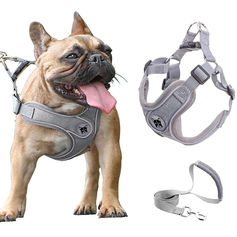 Medium Dog Harness and Leash Set,No Pull Adjustable Step in Soft Mesh Vest Harness,Easy Walk Reflective Pet Harness with Padded Handle for Walking Training Small Medium Large Dogs and Cats (Grey, M) Grey - PawsPlanet Australia