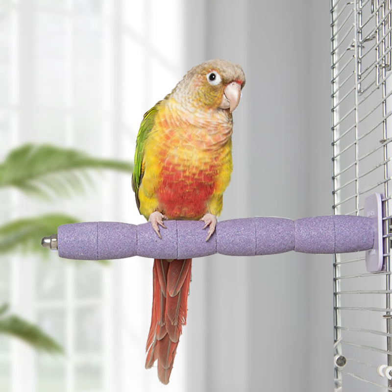 Parrot Perch Birds Nail File Perch Abrasive Surface Ceramic Paw Grinding Stick – Bird Nail File – for Parrots, Budgies, Parakeets, and Cockatiels Bird Cage Accessory (Purple, 7.8Inch) Purple - PawsPlanet Australia