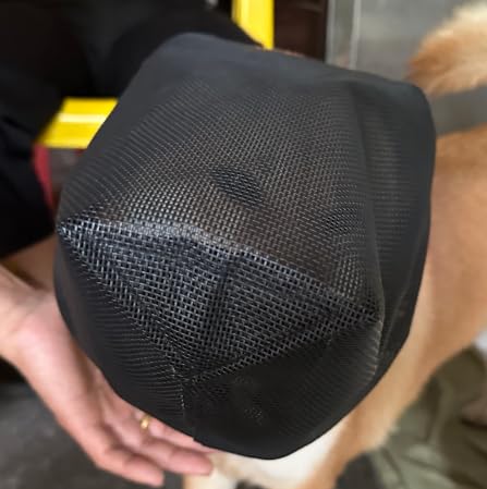M Size Foxtail Mask for Dogs, Dog Foxtail Protection, Dog Ear Protection - PawsPlanet Australia