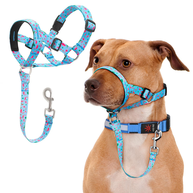 No-Pull Dog Head Collar, Print Head Halter Collar for Dogs, Gentle Lead to Stop Heavy Pulling, Anti-Pull Training Muzzle Leash for Easy Control on Walks (Blue, Small) Blue - PawsPlanet Australia