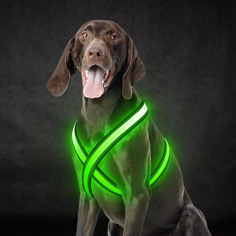 Light Up Dog Harness, Rechargeable LED Dog Harness, Glow in The Dark Dog Vest, Adjustable Pet Lights for Night Walking, Reflective Safety Vest for Medium Large Pet (Green, S) Green - PawsPlanet Australia