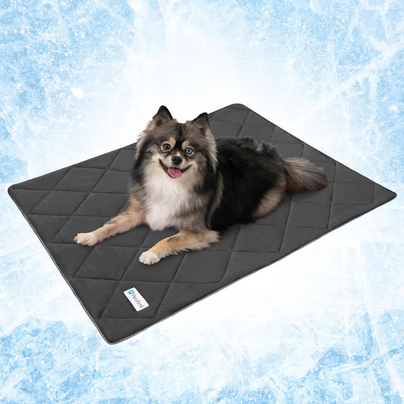 PetAmi Premium Cooling Dog Blanket | Lightweight Fluffy Pet Throw Blanket Bed Cover for Dogs, Cat, Puppies | Pet Blanket Furniture Protector Couch Sofa | Reversible Fuzzy Cozy | 24x32, Grey Small (24x32) - PawsPlanet Australia