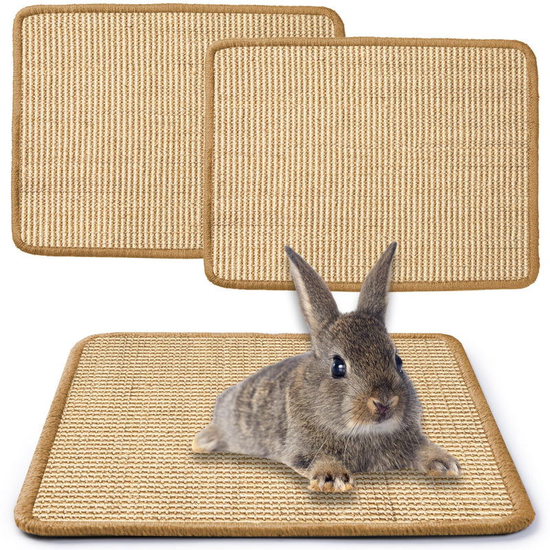 JanYoo 2 Pieces Bunny Scratch Pads, Sisal Rabbit Scratching Pad Bunny Scratcher Mat Guinea Pig Resting Mats for Cages, Small Animal Claws and Teeth Care Bedding Accessories(15.7x11.8in, Beige) 3-Beige - PawsPlanet Australia