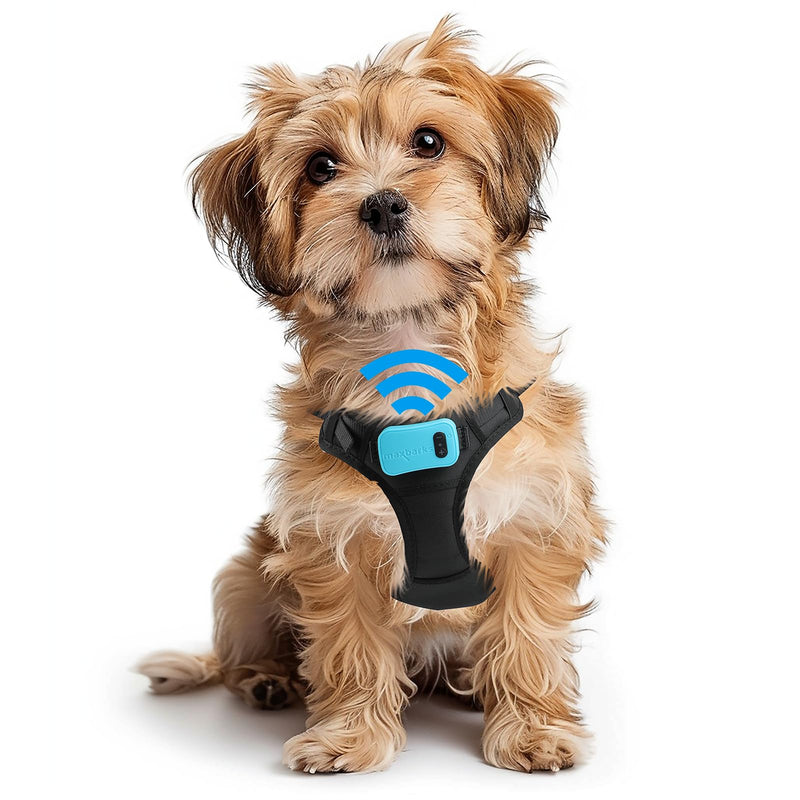 Bark Control Training Vest for Small Dogs - Rechargeable No Barking Device for Dogs - Bark Deterrent with 5 Sensitivity Levels, Adjustable Straps, D-Ring - No False Alarms or Throat Prongs Extra Small - PawsPlanet Australia