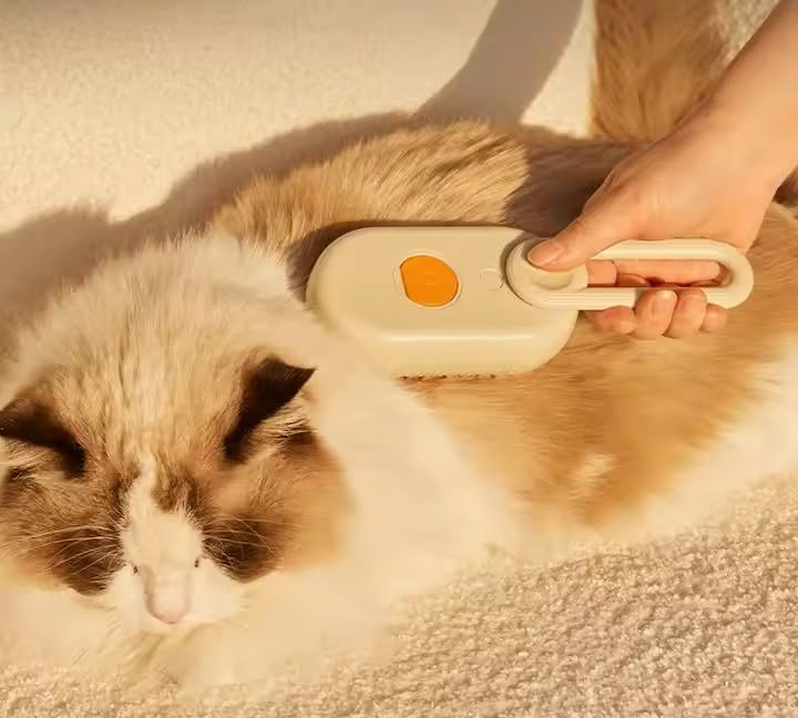 4-in-1 Cat Steam Brush | Rechargeable & Anti-Static | Massage & Cleaning | Shedding & Combing in One! - PawsPlanet Australia
