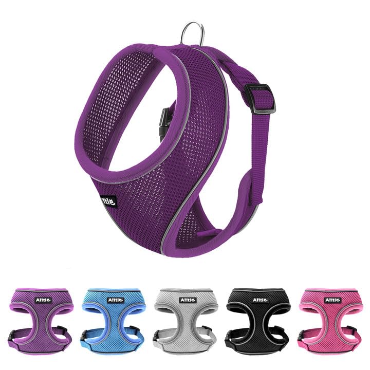 AIITLE Small Dog Harness, Triple-Layer Breathable Mesh, Adjustable Fit & Reflective Design, Choke-Free Over-The-Head Vest for Indoor/Outdoor Use, Perfect for Maltese, Chihuahua (S, Purple) S - PawsPlanet Australia