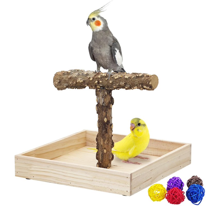 BNOSDM Portable Bird Perch Stand with Potty Tray, Natural Wood Tabletop Training Gym Parrot Playground Toy for Budgies, Cockatiels, Lovebirds,Conures 1. T-Shaped Bird Stand