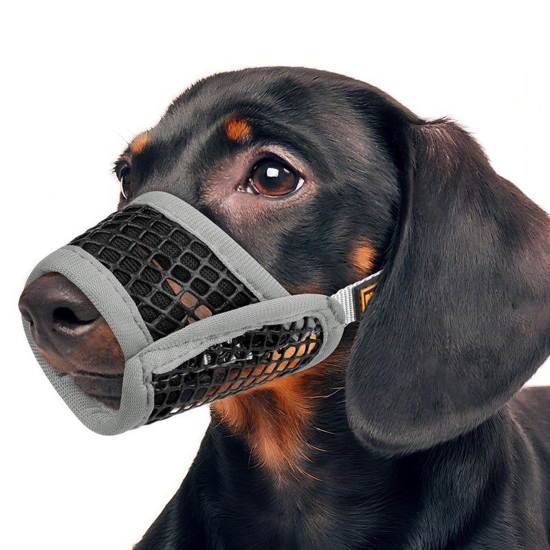Mayerzon Dog Muzzle for Biting, Patented Soft Breathable Mesh Muzzle for Small Medium Dogs Chihuahua Dachshund Poodle, Adjustable Mouth Cover for Grooming, Chewing, Vet Visits (Grey Trim, M) Grey Trim M-(Snout Cir 7¼"-8")
