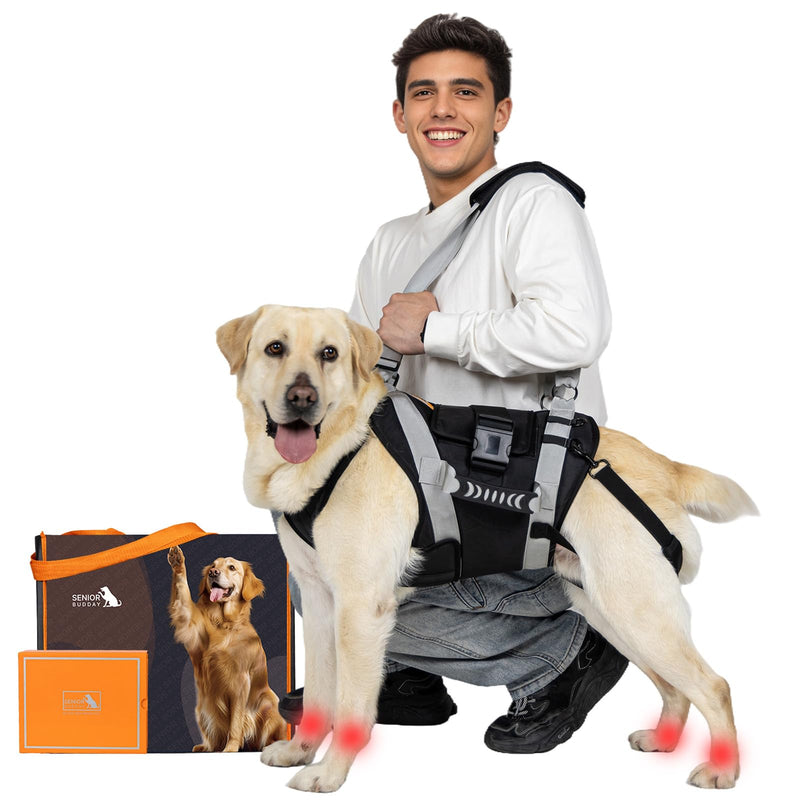 Dog Lift Harness for Large Dogs,Full Body Dog Sling Carrier with Handle,for Up Stair/Back Legs Support/Dogs Joint Injuries/Arthritis (Large) - PawsPlanet Australia
