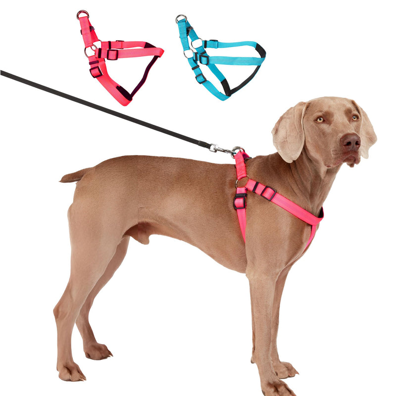 BLAZIN Reflective Dog Harness - 'Color Me Happy!' Adjustable Step-in Reflective Nylon Vest Harness - Neoprene Padded for Extra Comfort (Large, Pink) Hot Pink Large - PawsPlanet Australia
