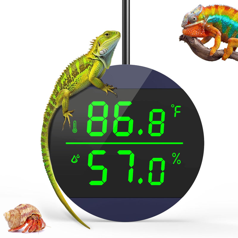 QZQ Reptile Thermometer and Humidity Gauge, LED Digital Thermometer Hydrometer, Reptile Tank Accessories for Bearded Dragon, Crested Gecko, Snake, Jumping Spider, Lizard, USB Power Supply (Blue) Blue - PawsPlanet Australia