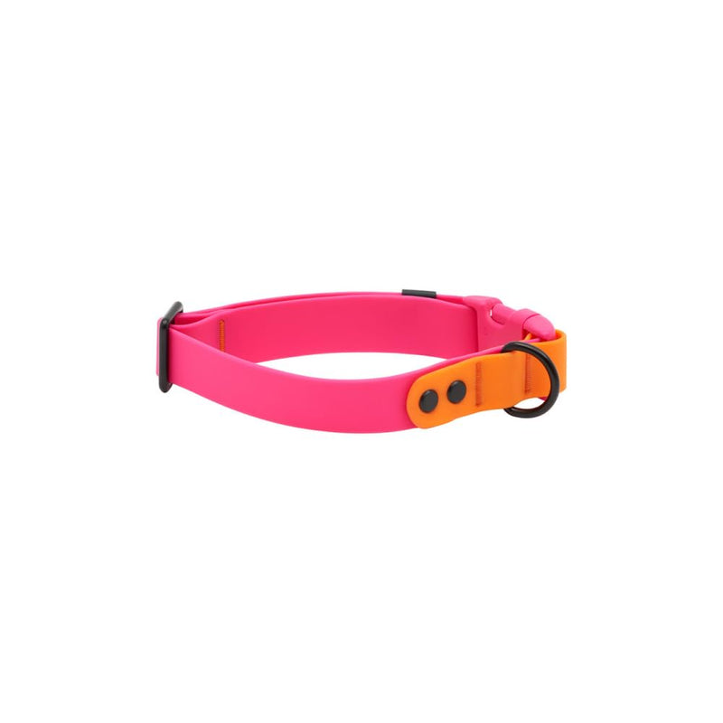 RC Pets Durable, Odor-Resistant, Easy-Clean Waterproof Collar (Small, Azalea-Orange) Small - PawsPlanet Australia