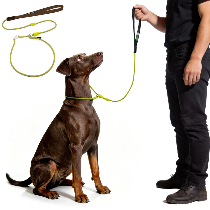 BeauGo|Dog Leash Slip Lead|Dog Training Lead,Trainer Rope Specifically Designed for DogTraining and NGKC Competition,Professional Dog Leash for Small Medium Large Dogs.Thin Slip Leads for Dogs 4 FT Training(4ft*1.2M Long? Dark green - PawsPlanet Australia