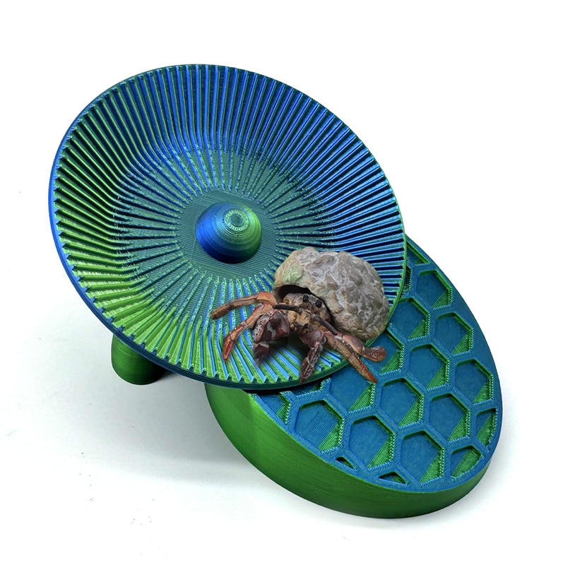 Hermit Crabs Running Wheel Toy with Climbing Platform, Hermit Crab Tank Accessories, for Hermit Crab Hamster Gerbils - PawsPlanet Australia