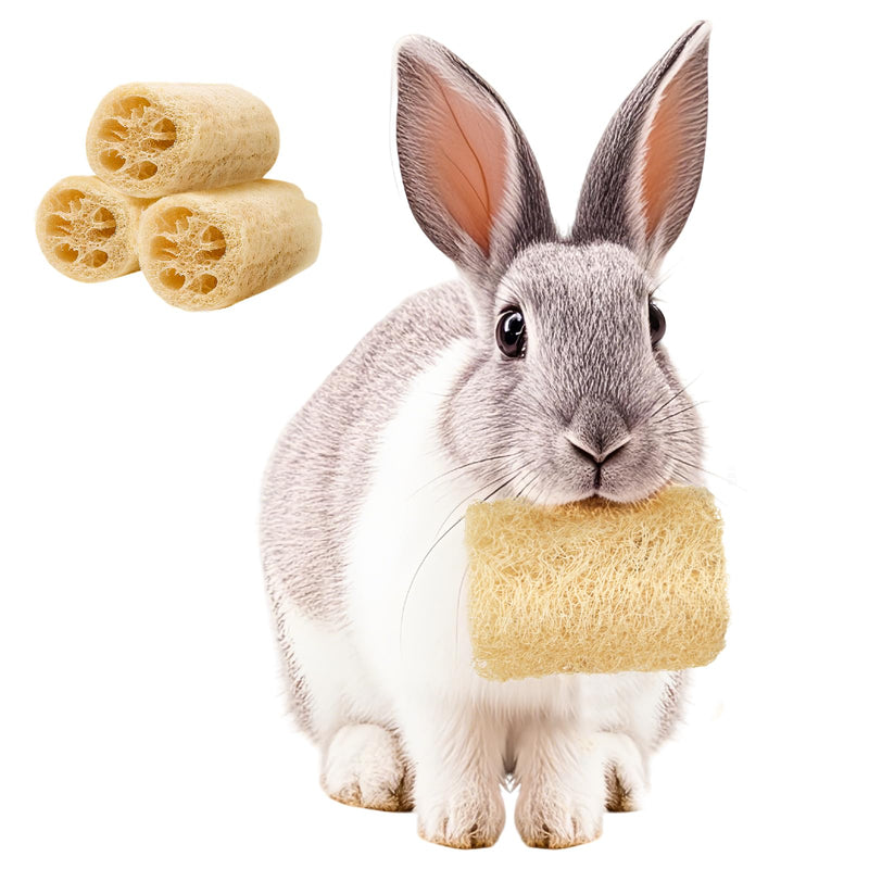 3 PCS Rabbit Chew Toys,100% Natural Loofah Without Additives,Bunny Chew Toys for Teeth,Fiber-Rich Rabbit Treats for Bunny Chinchilla Dogs 3 ps - PawsPlanet Australia