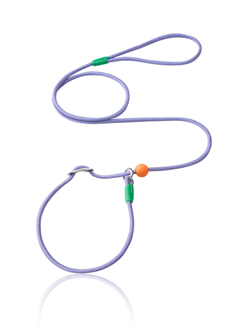Slip Lead Dog Leash, Adjustable Slip Lead with Aviation Aluminum Anti-Choking Stopper, Lightweight Pet Training Lead violet-5Ft - PawsPlanet Australia